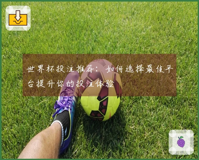 世界杯投注推荐：如何选择最佳平台提升你的投注体验