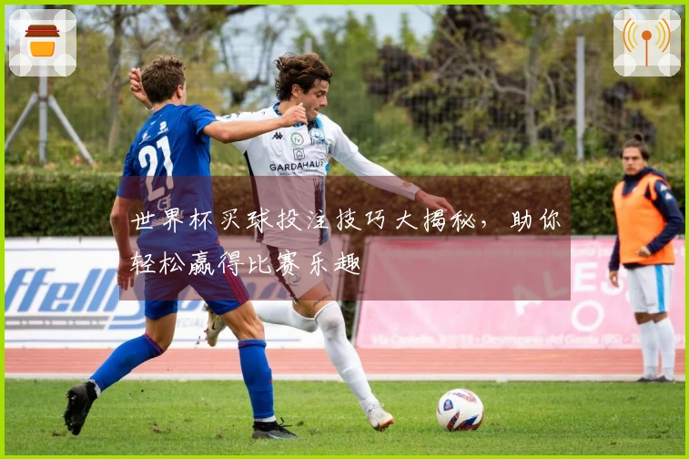 世界杯买球投注技巧大揭秘，助你轻松赢得比赛乐趣