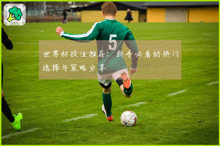 世界杯投注推荐：新手必看的热门选择与策略分享