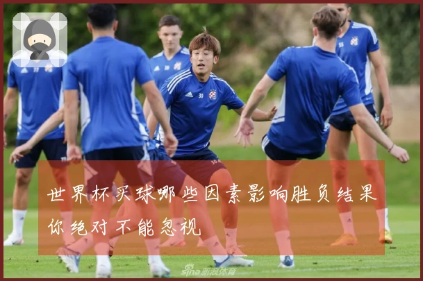 世界杯买球哪些因素影响胜负结果你绝对不能忽视