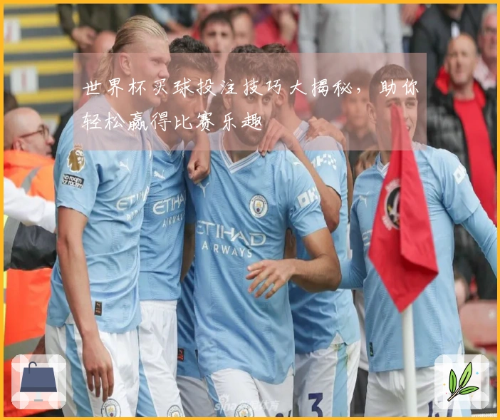 世界杯买球投注技巧大揭秘，助你轻松赢得比赛乐趣
