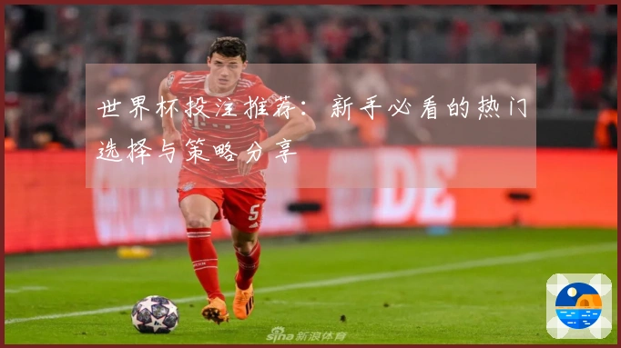 世界杯投注推荐：新手必看的热门选择与策略分享